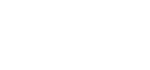 央视网 logo